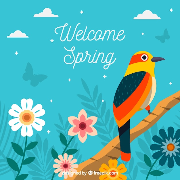 Flat spring background