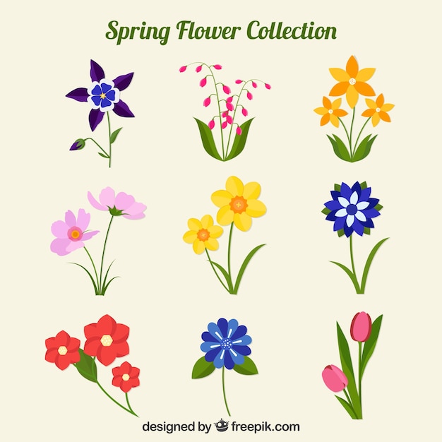 Flat spring flower collection