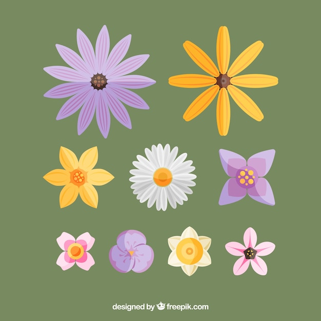 Flat spring flower collection