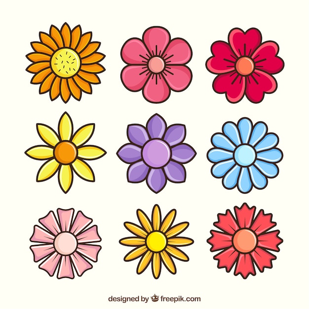 Flat spring flower collection