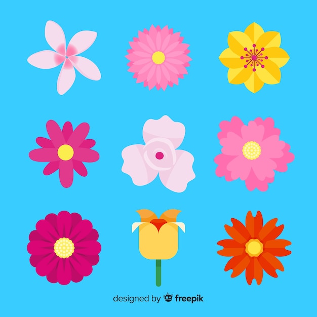 Flat spring flower collection