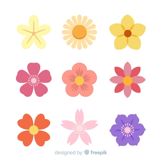 Flat spring flower collection