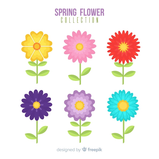 Flat spring flower pack