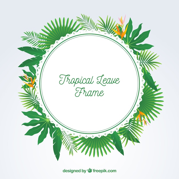 Flat summer frame with tropical leaves