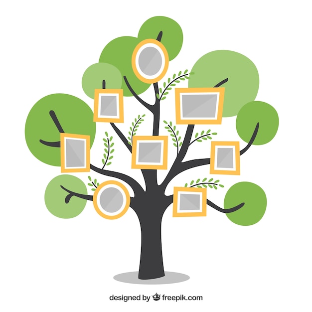 Free Vector flat tree with frames on the wall