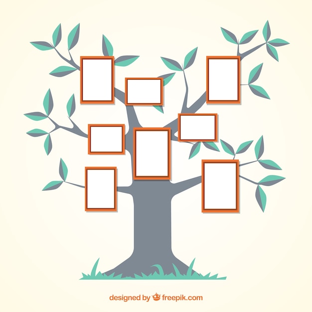 Free Vector flat tree with frames on the wall