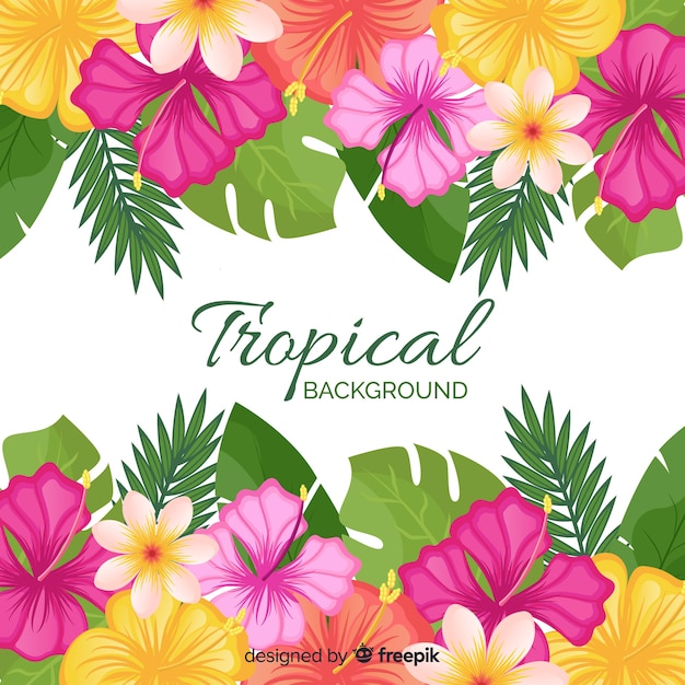 Flat tropical background