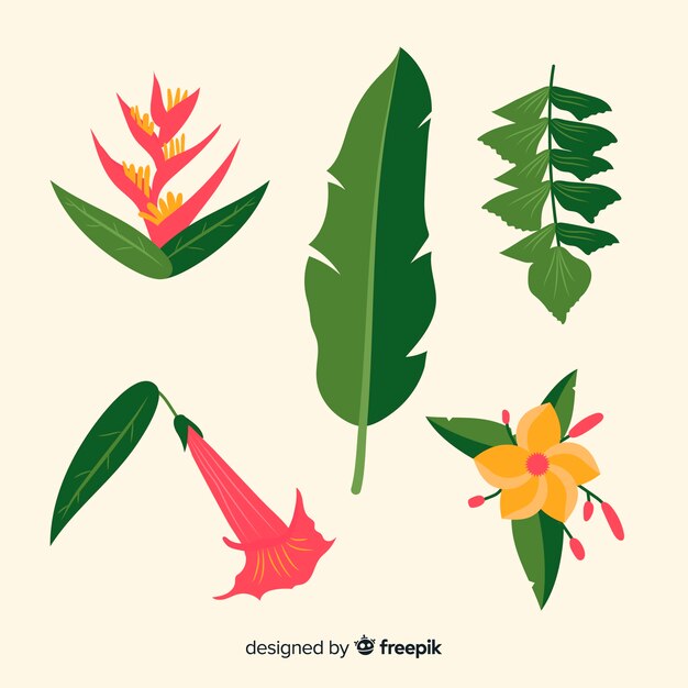 Flat tropical flowers and leaves pack