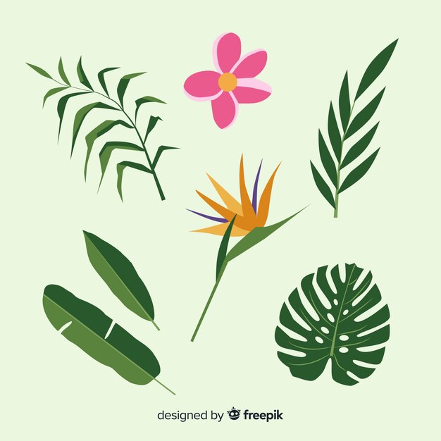 Flat tropical flowers and leaves pack