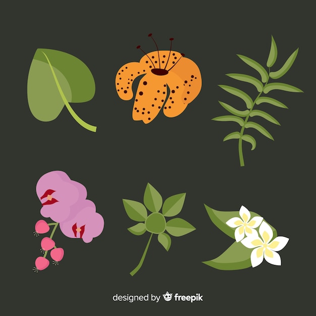 Flat tropical flowers and leaves pack