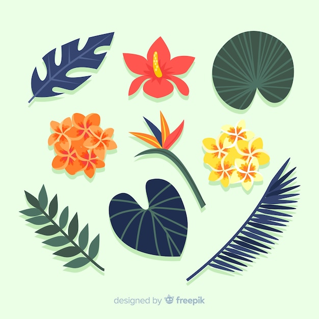 Free Vector flat tropical flowers and leaves