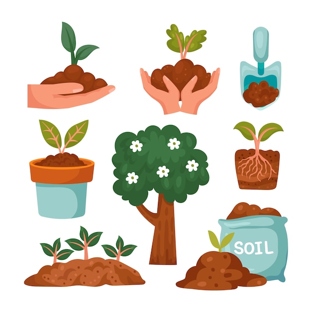 Free Vector flat tu bishvat design elements collection