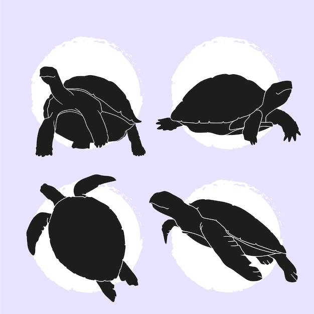 Flat turtle silhouettes collection