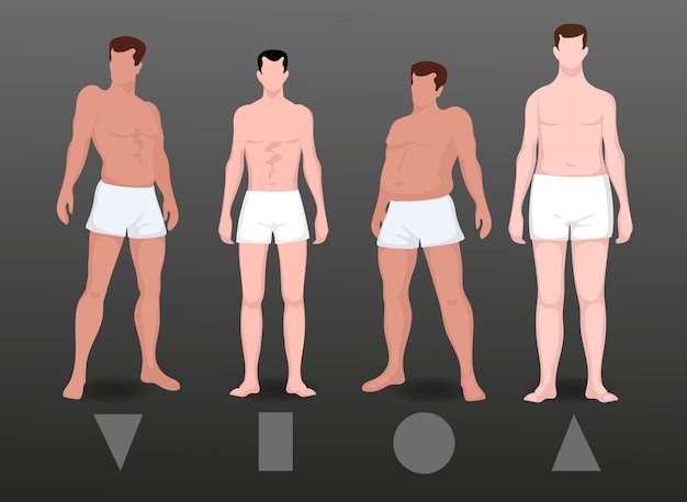 Free Vector flat types of male body shapes pack