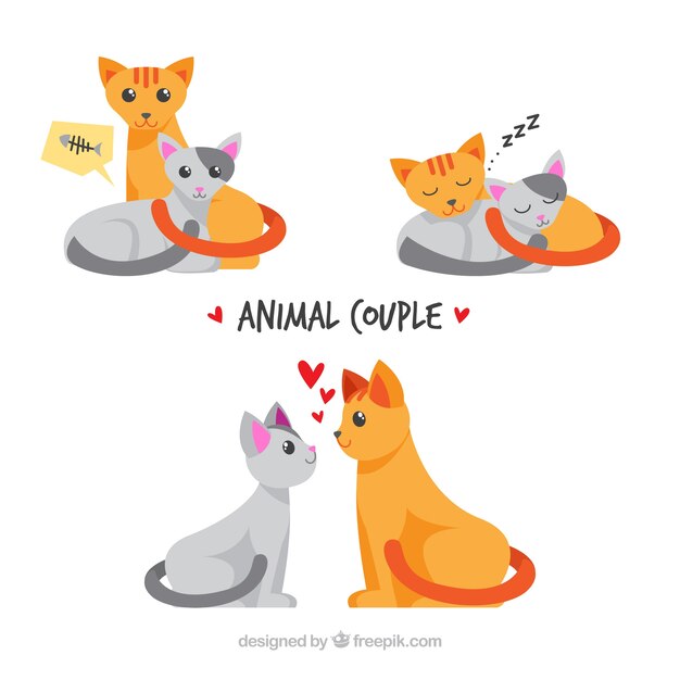 Flat valentine's day animal couples collection