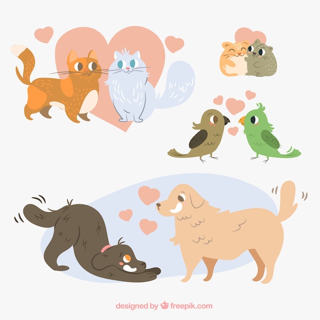 Flat valentine's day animal couples collection