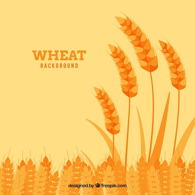 Free Vector flat wheat background