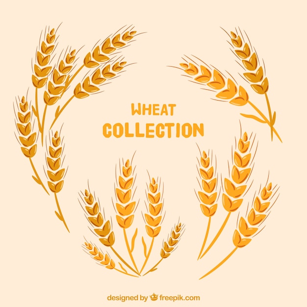 Flat wheat collection