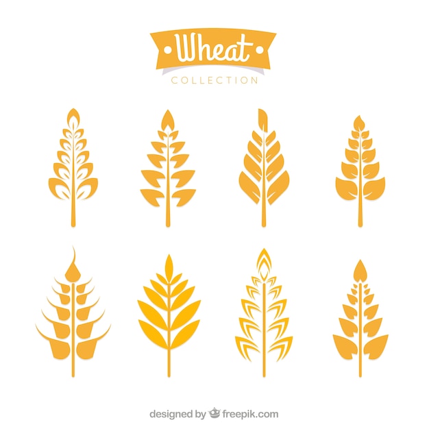 Free Vector flat wheat collection