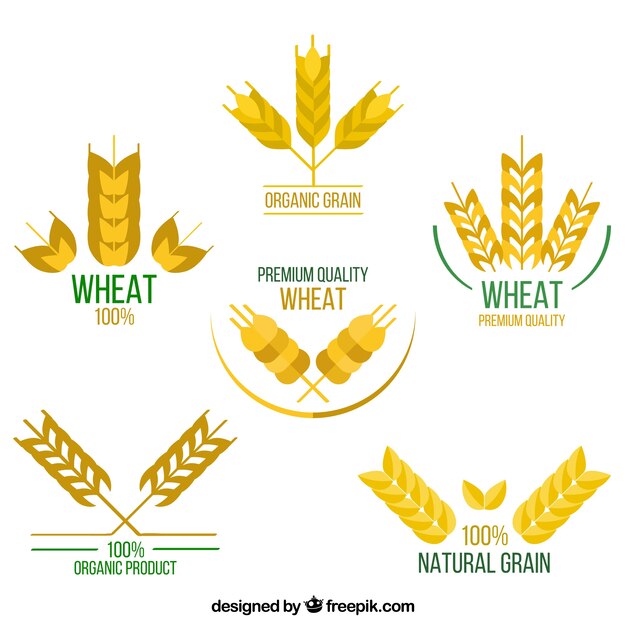 Flat wheat logo collection