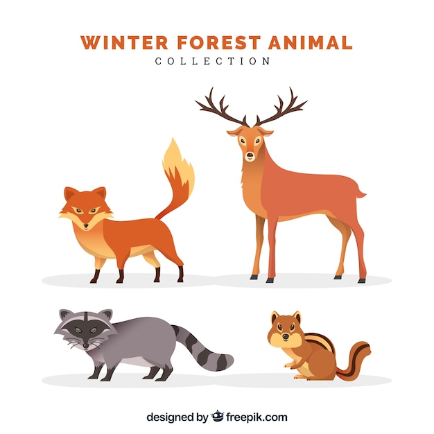 Flat winter animal collection