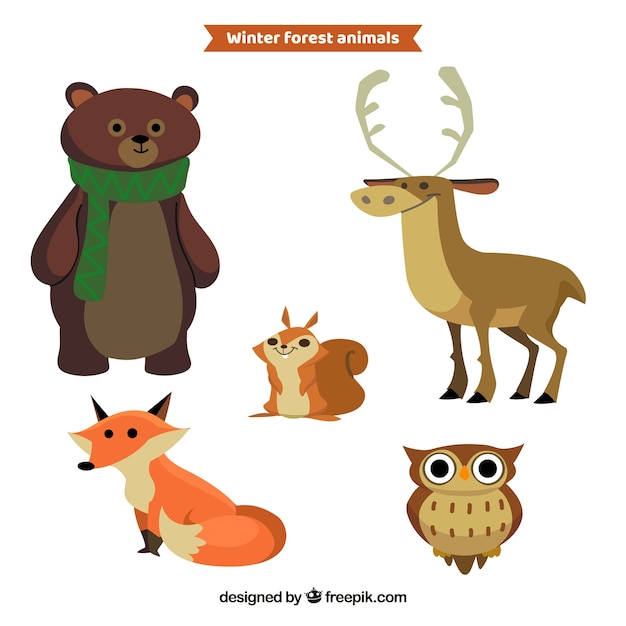 Free Vector flat winter animal set