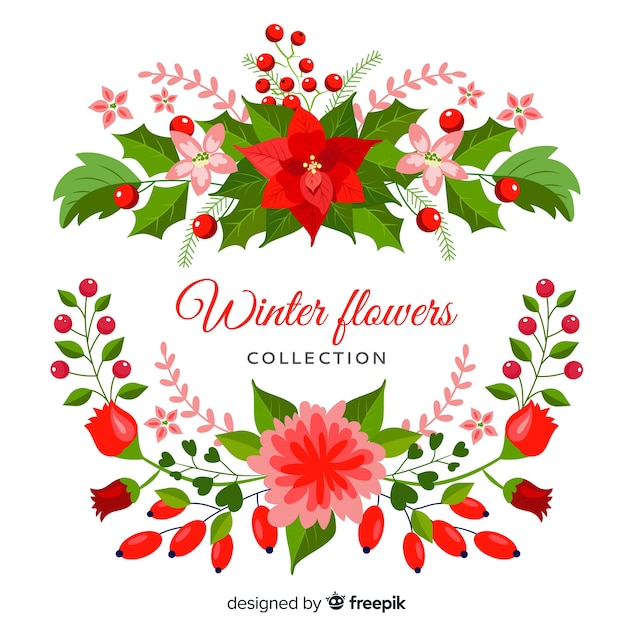 Free Vector flat winter flower collection