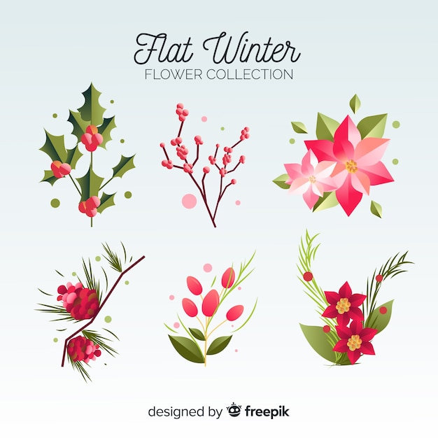 Flat winter flowers collection