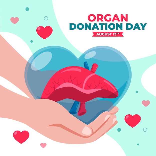 Flat world organ donation day illustration with hands holding liver in heart