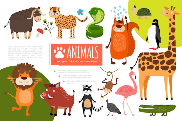 Flat zoo animals composition with buffalo leopard snake squirrel penguin turtle giraffe flamingo crocodile peacock raccoon monkey boar lion  illustration