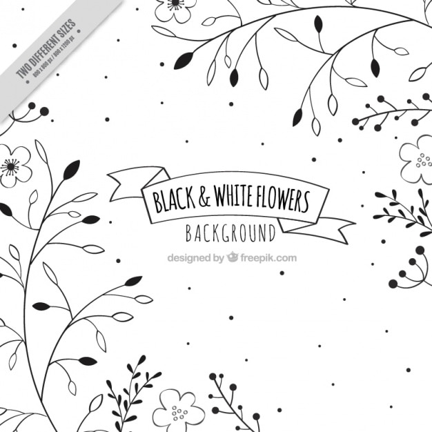 Free Vector floral background in black and white, hand drawn