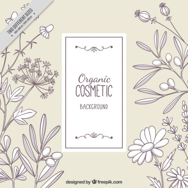 Free Vector floral background of sketches cosmetics