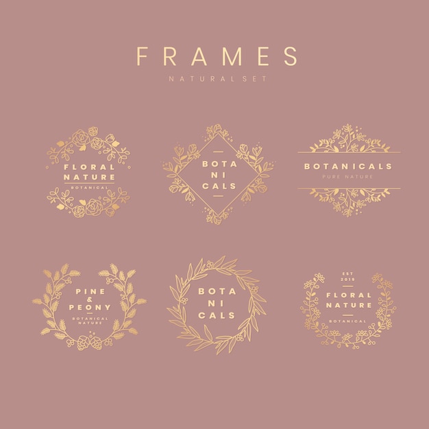 Free Vector floral botanical frame collection