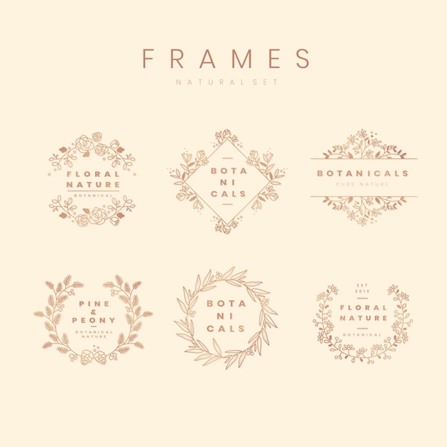 Free Vector floral botanical frame collection