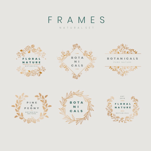 Free Vector floral botanical frame collection