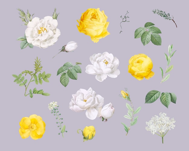 Floral design background