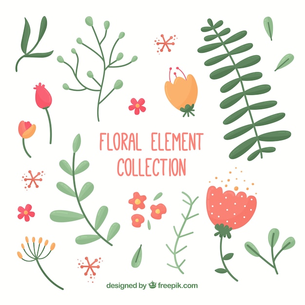 Free Vector floral element collection with flat design