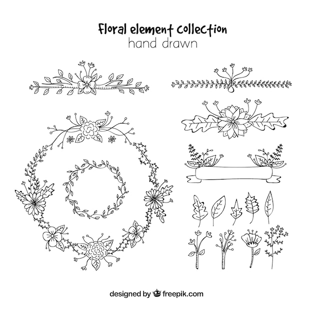 Floral element collection with hand drawn style