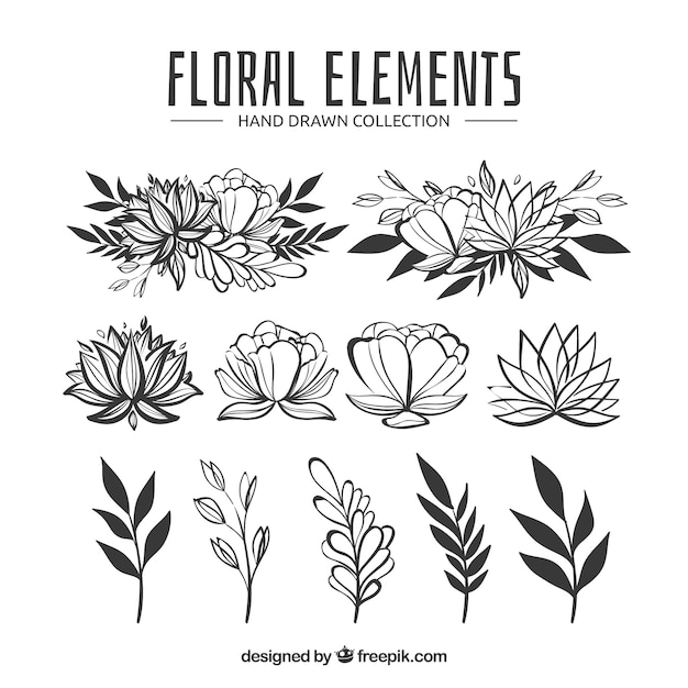 Floral elements collection in hand drawn style