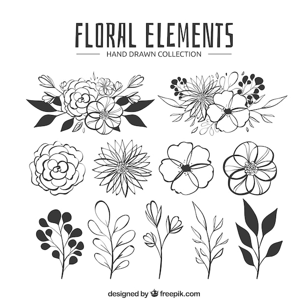 Free vector floral elements collection in hand drawn style