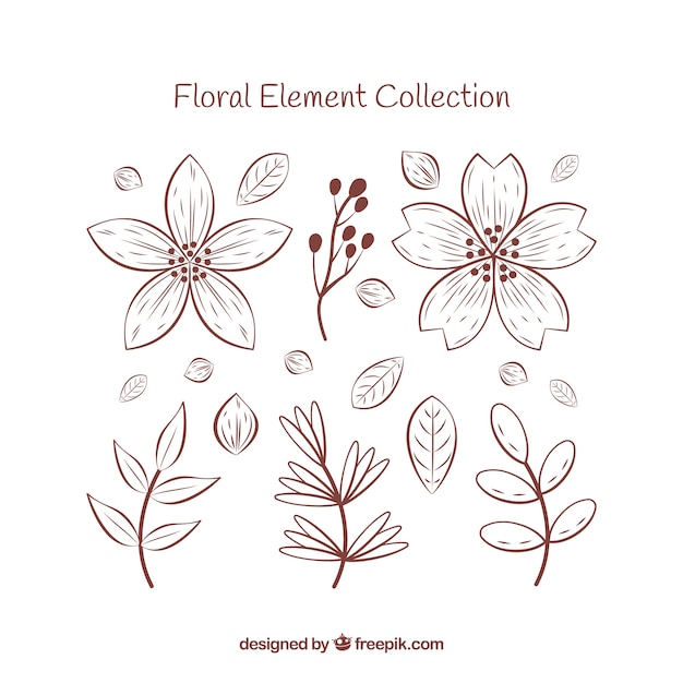 Floral elements collection in hand drawn style