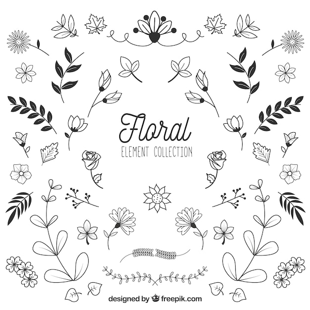 Floral elements collection in hand drawn style