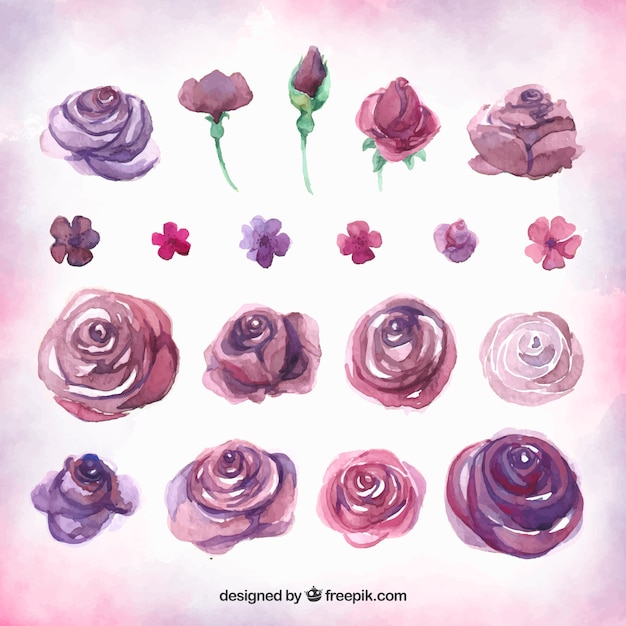 Free Vector floral elements collection with different types