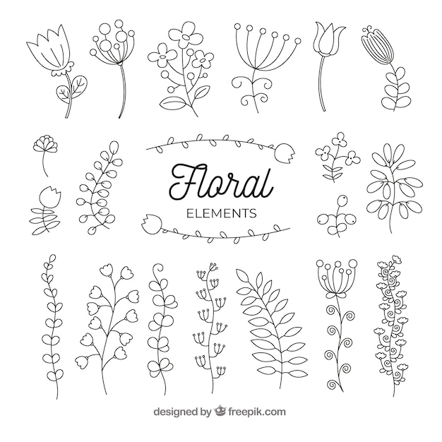 Floral elements collection