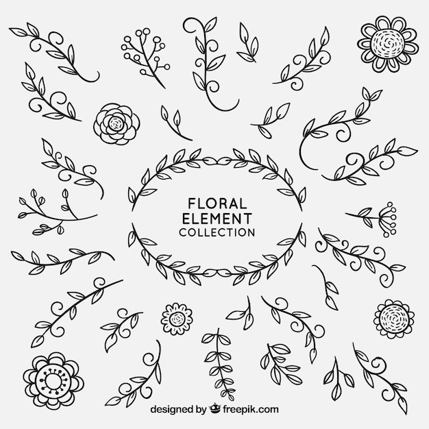 Free Vector floral elements collection 