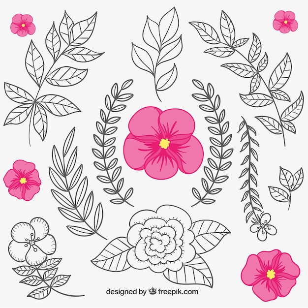 Floral elements in hand drawn style 