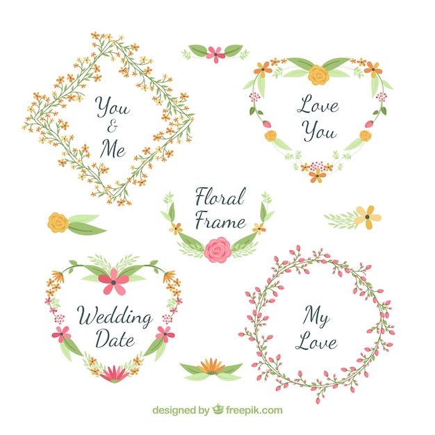 Free vector floral frames collection with different species