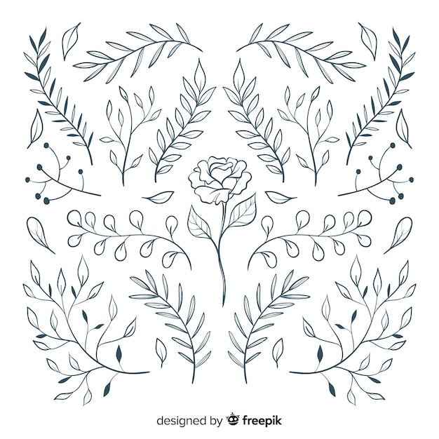 Floral hand-drawn ornament collection