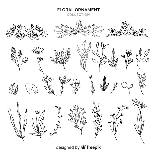 Floral ornaments collection