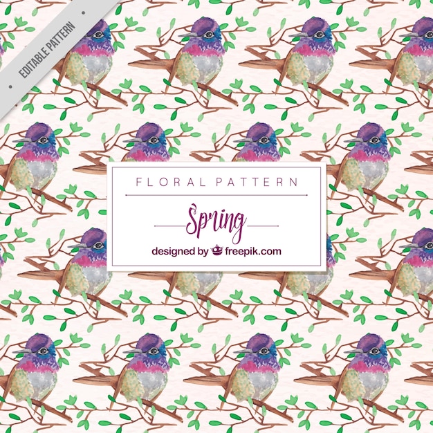 Free Vector floral pattern of cute watercolor birds